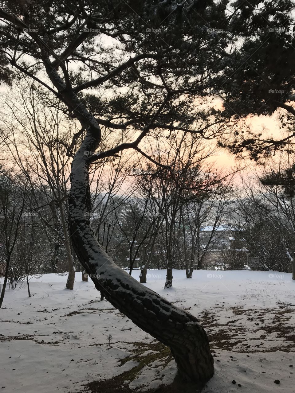 sunset picture in a mountain South Korea beautiful place 
