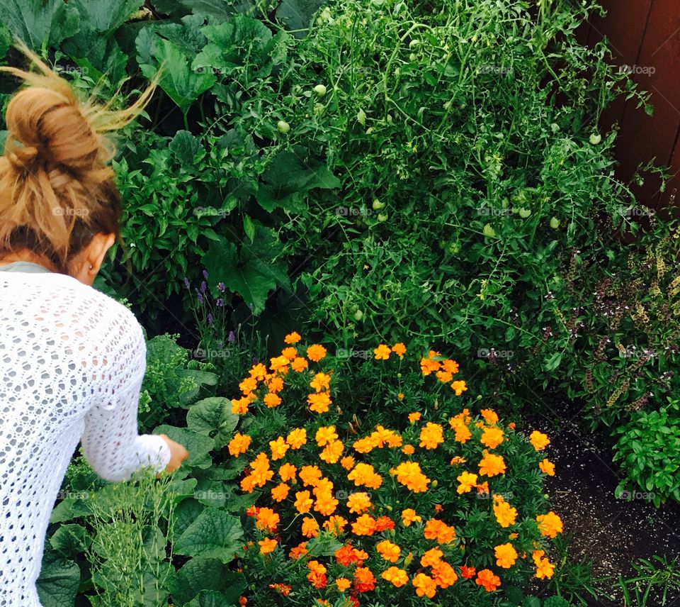 Gardening 