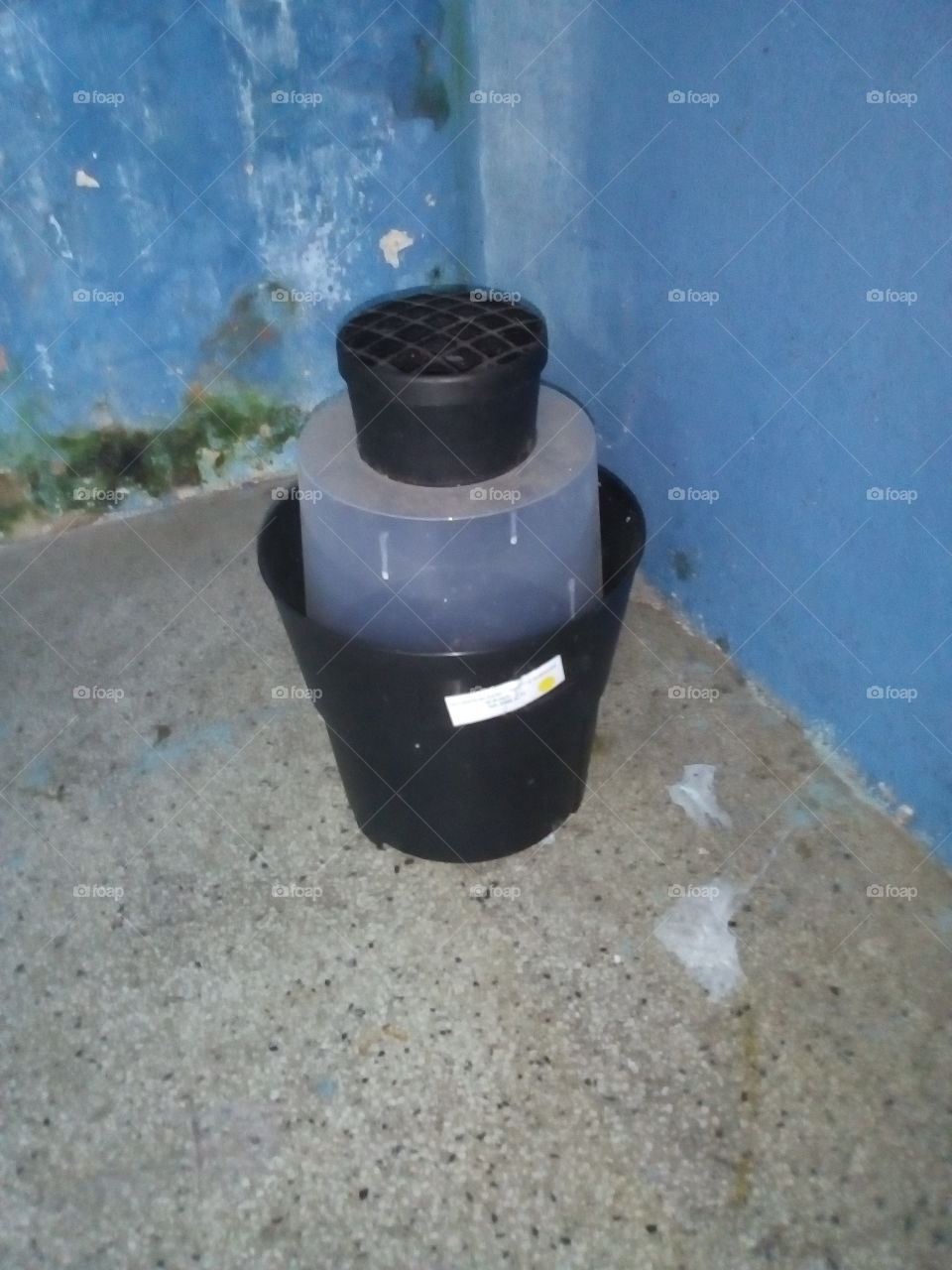 Armadilha mosquito da Dengue