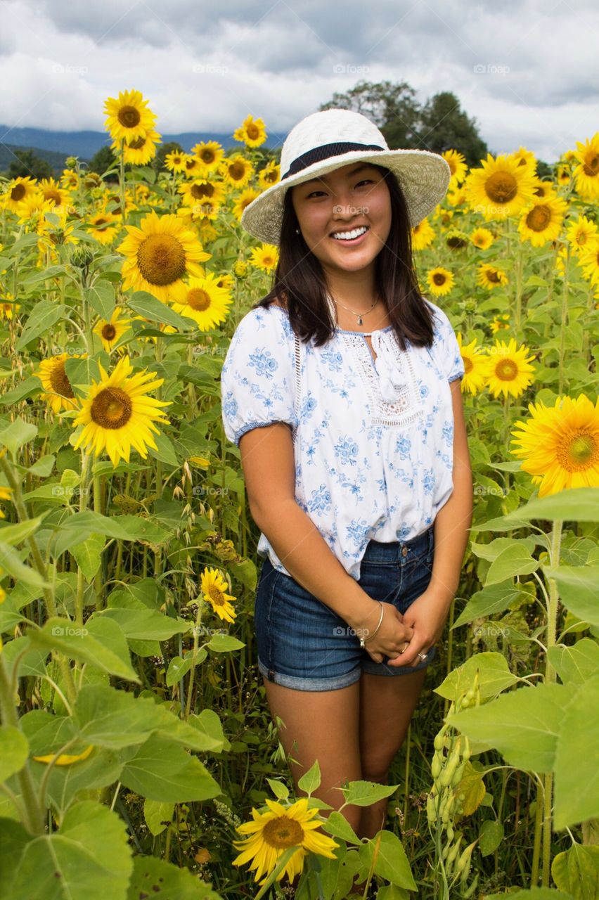 Sunflower, Summer, Nature, Field, Flower