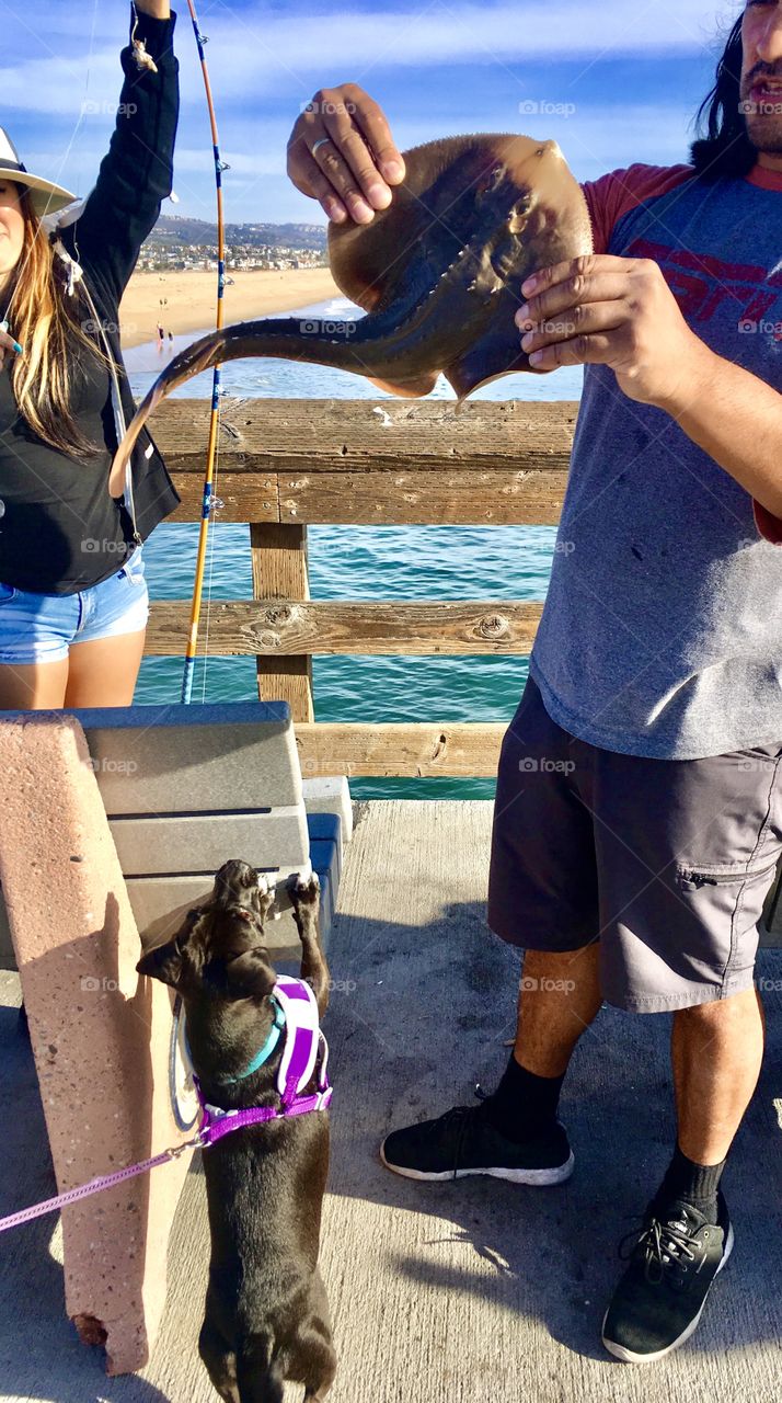 This dog just loves - “fishing”!! 