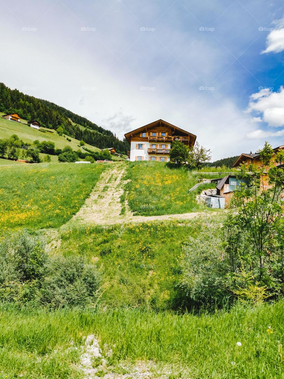 A house among fields on a hill