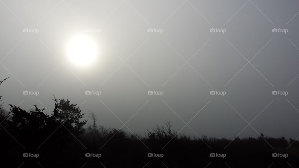 Sun, Fog, Landscape, Moon, Sunset