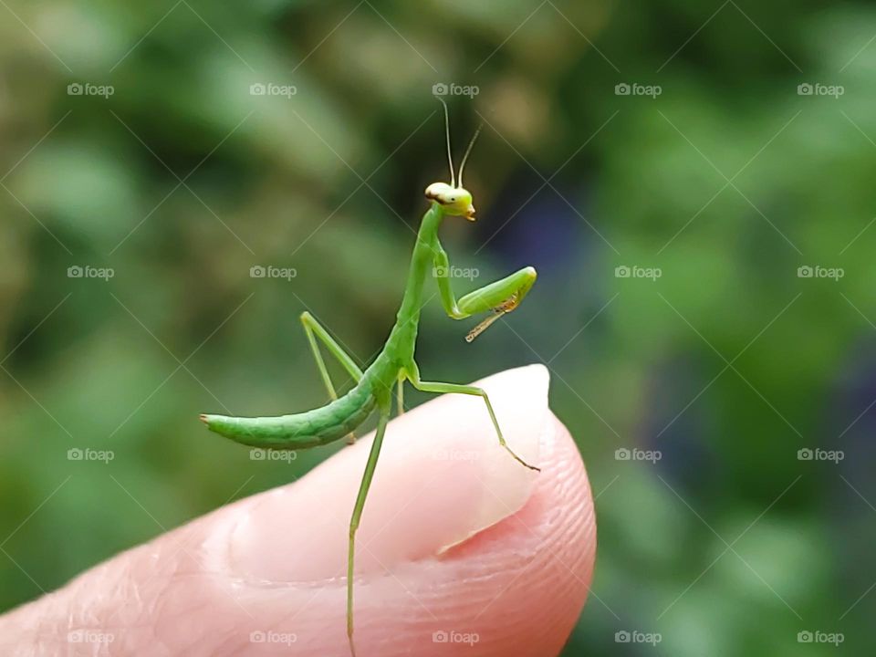 Connecting with nature.  God's creatures come in all shapes and sizes.  Even the tiny ones have personality.