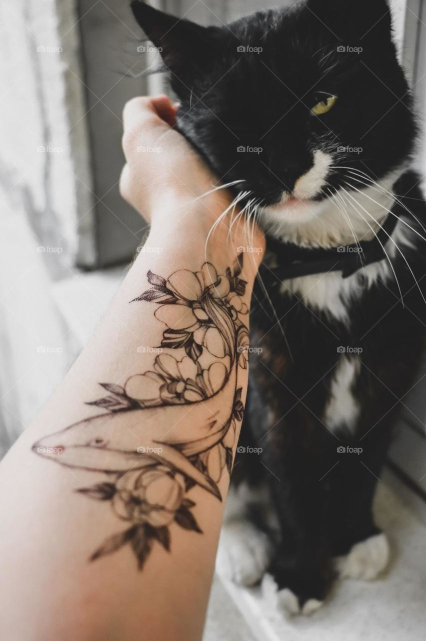 animal cat tattoo people