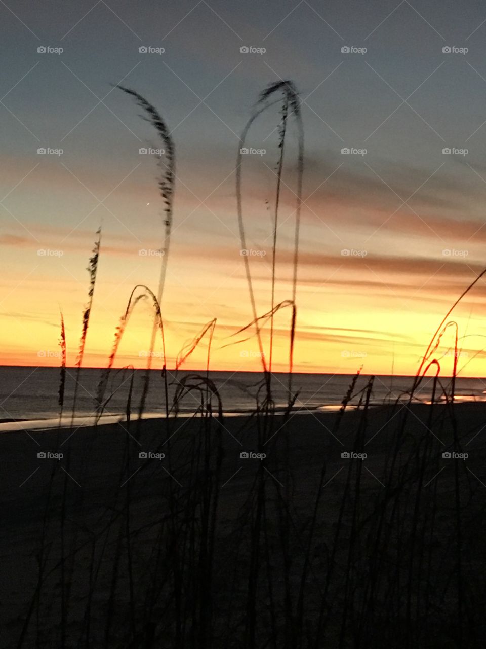 Beach at sunset 