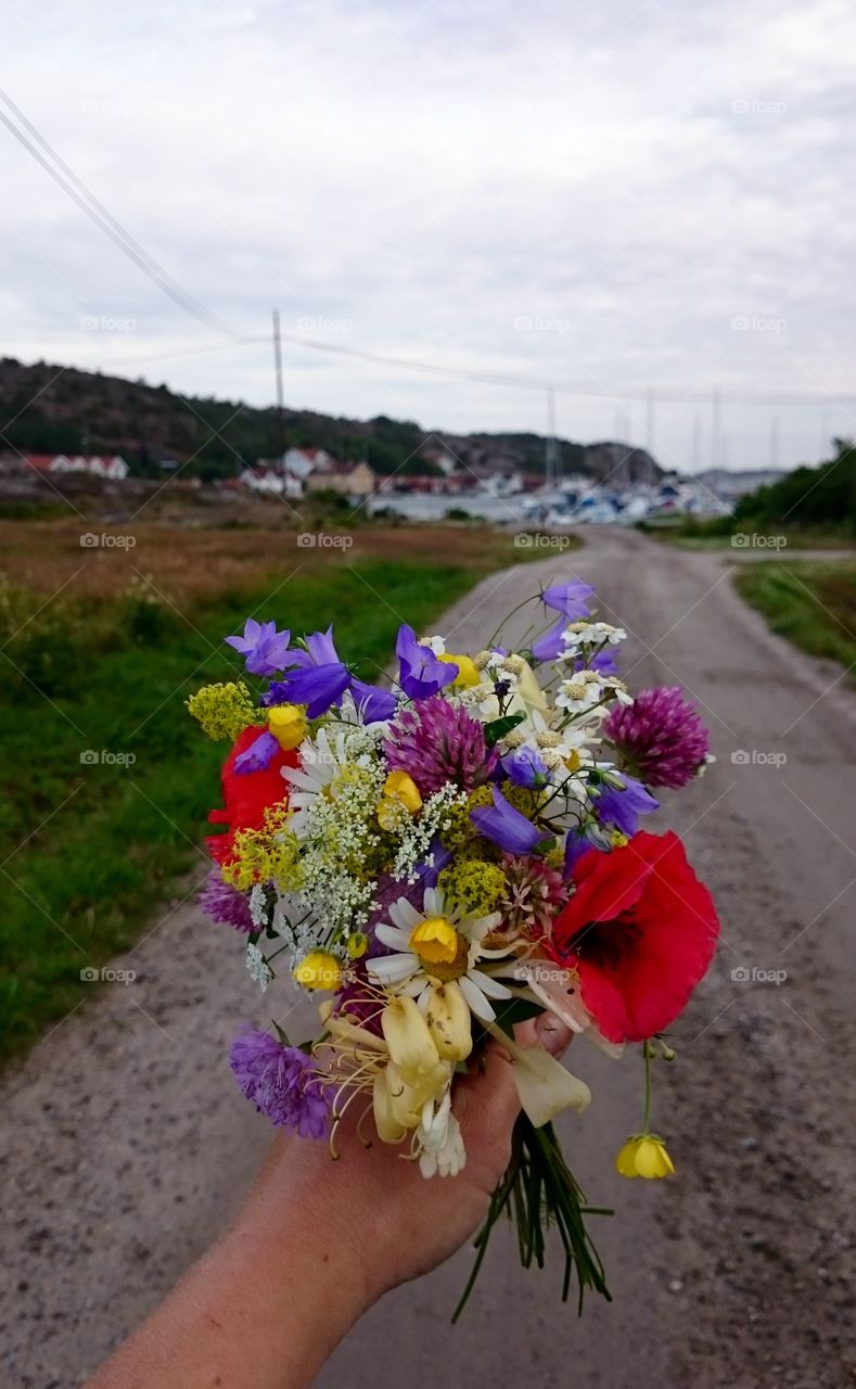 Picking summer flowers