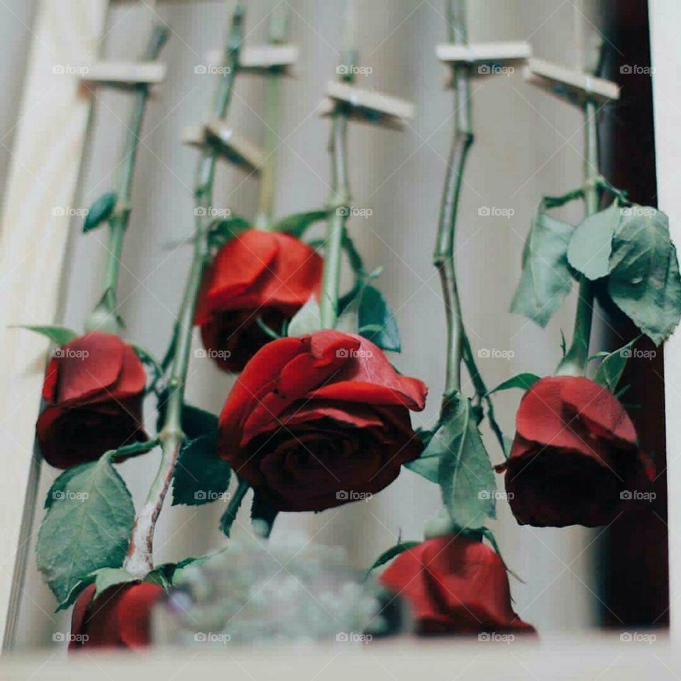 " It is nice
To keep your soul attached
hopefully despite everything

🦋 ️ warm whispers 🦋