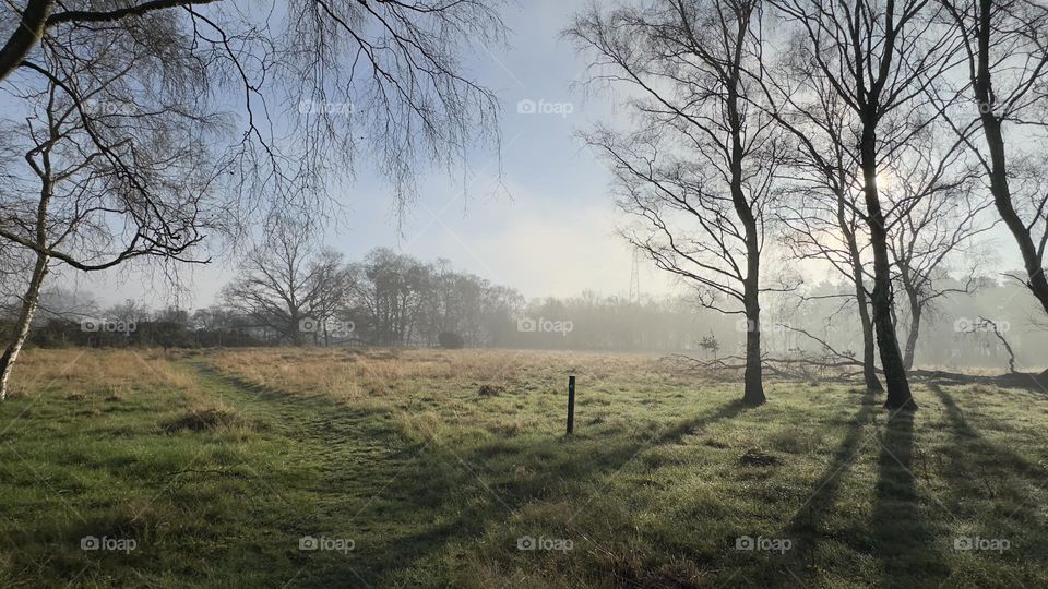 A scenic view of fields 