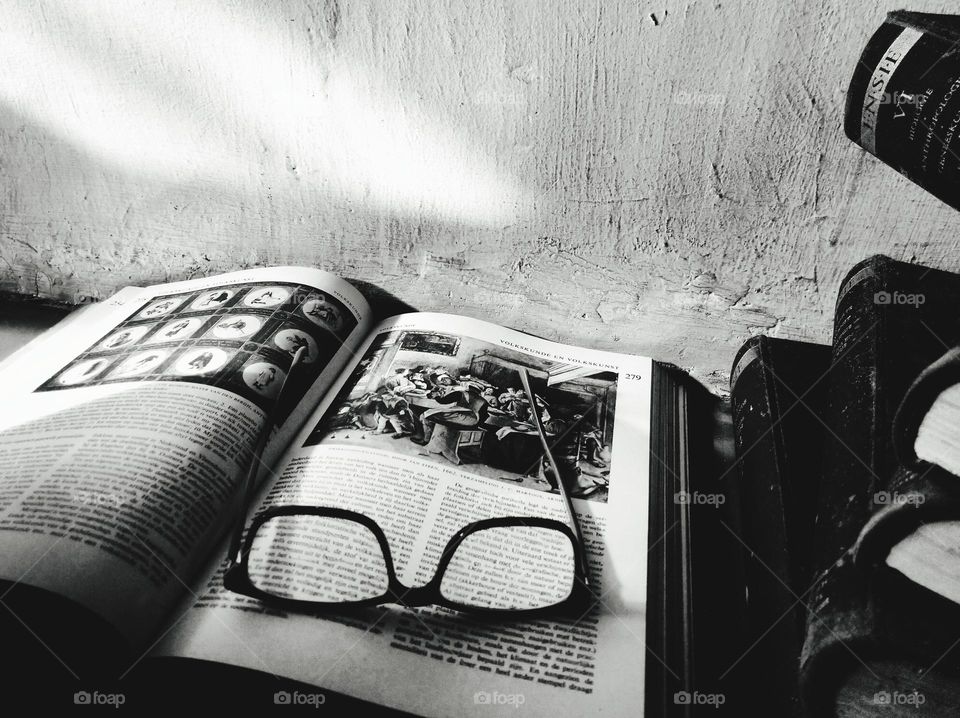 Reading the encyclopedia