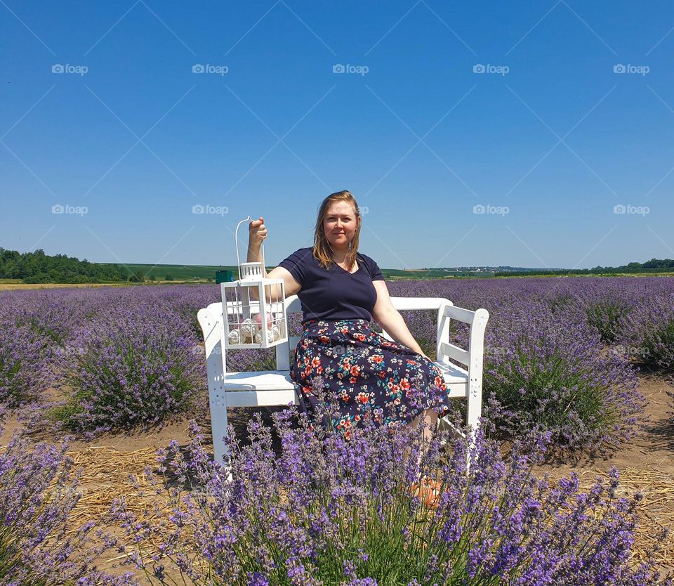 lavender field, bunch, lantern, woman, summer, sunny day