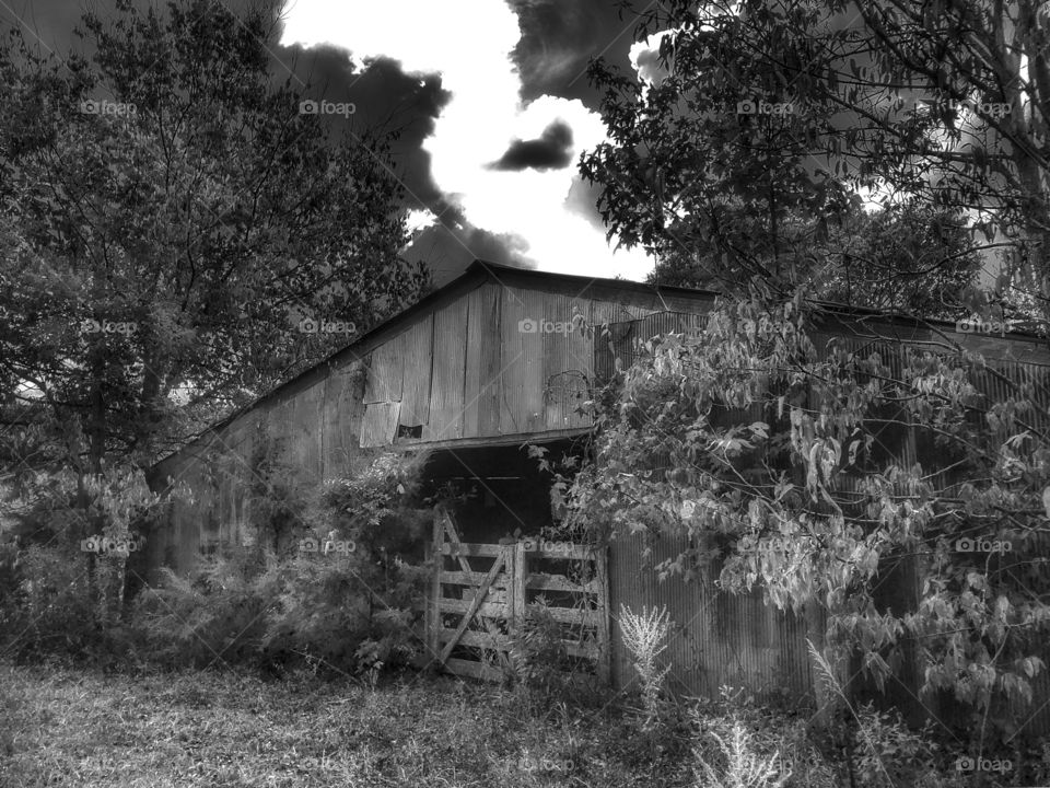 She wants someone to love her- but she’s afraid...