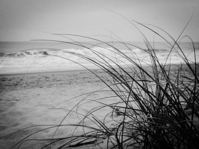 Sand and surf