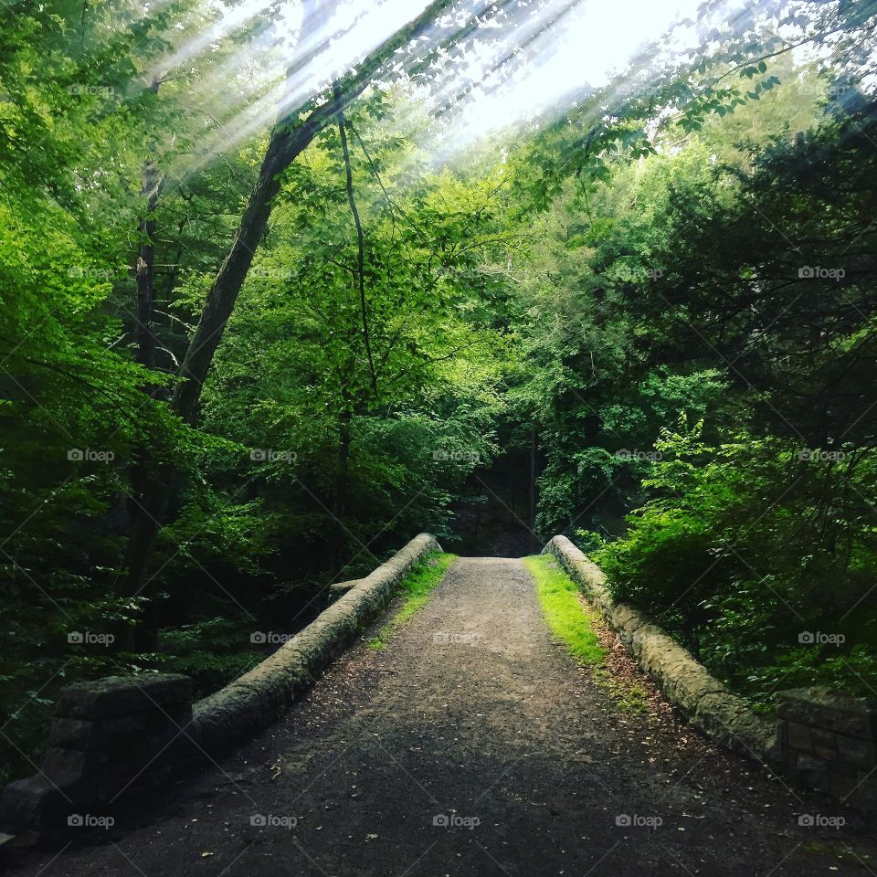 Back into the woods for a final weekend run