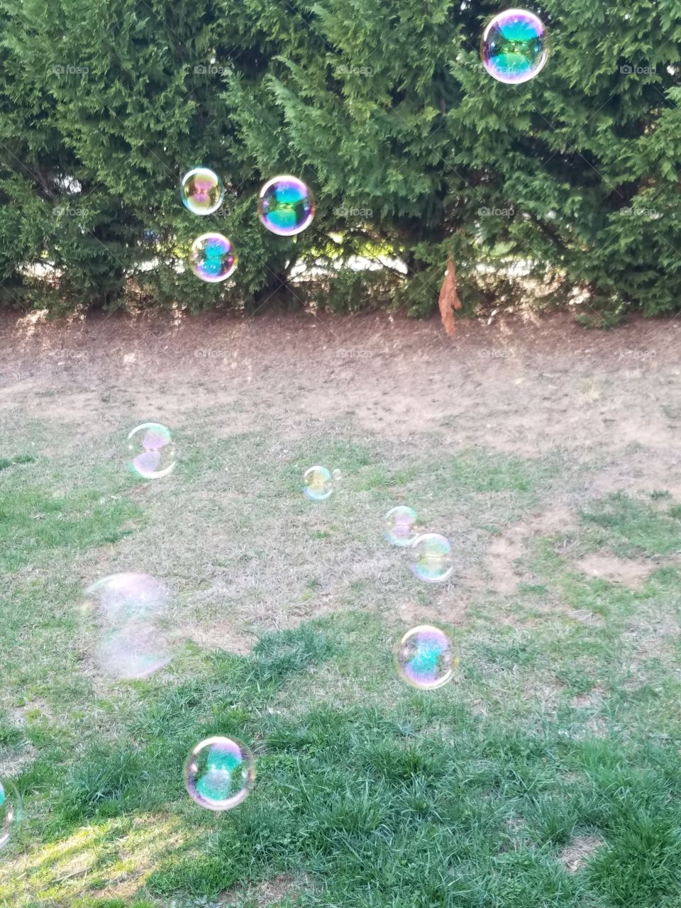 Bubbles