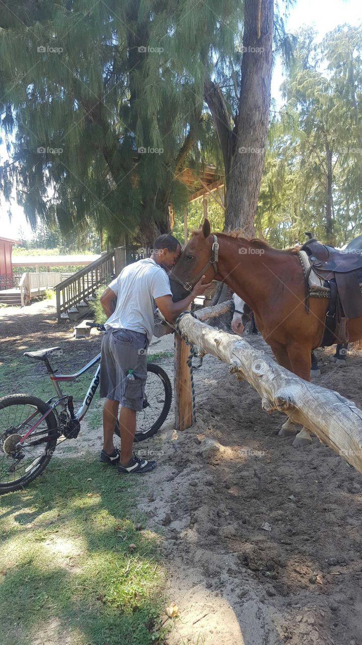 man connecting with horse