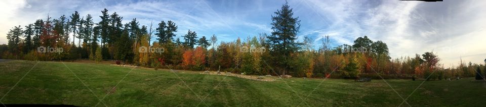 Panoramic foliage 10/21/17