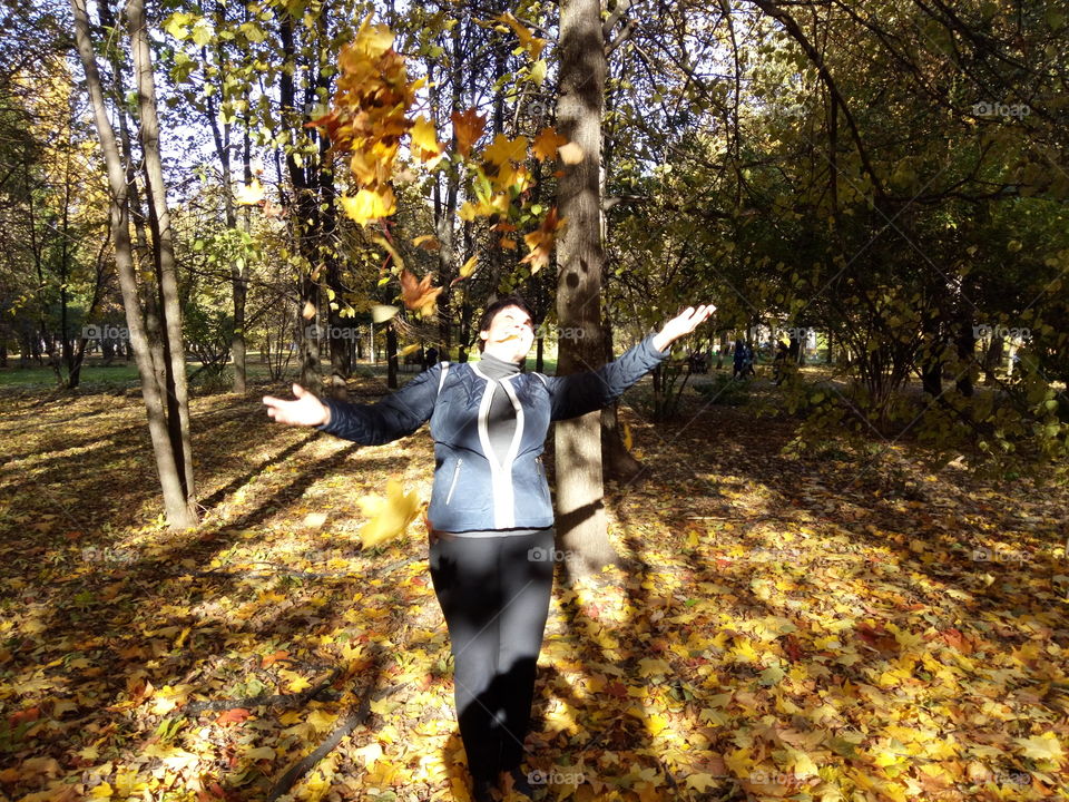 yellow leaves spinning осенний листопад