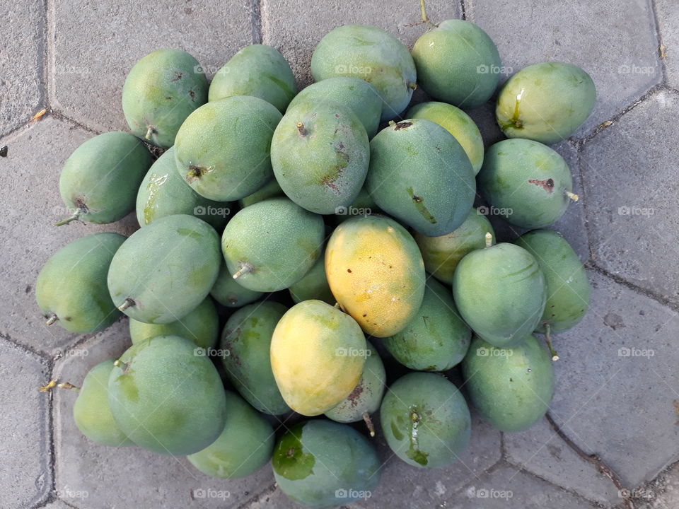 the mangos