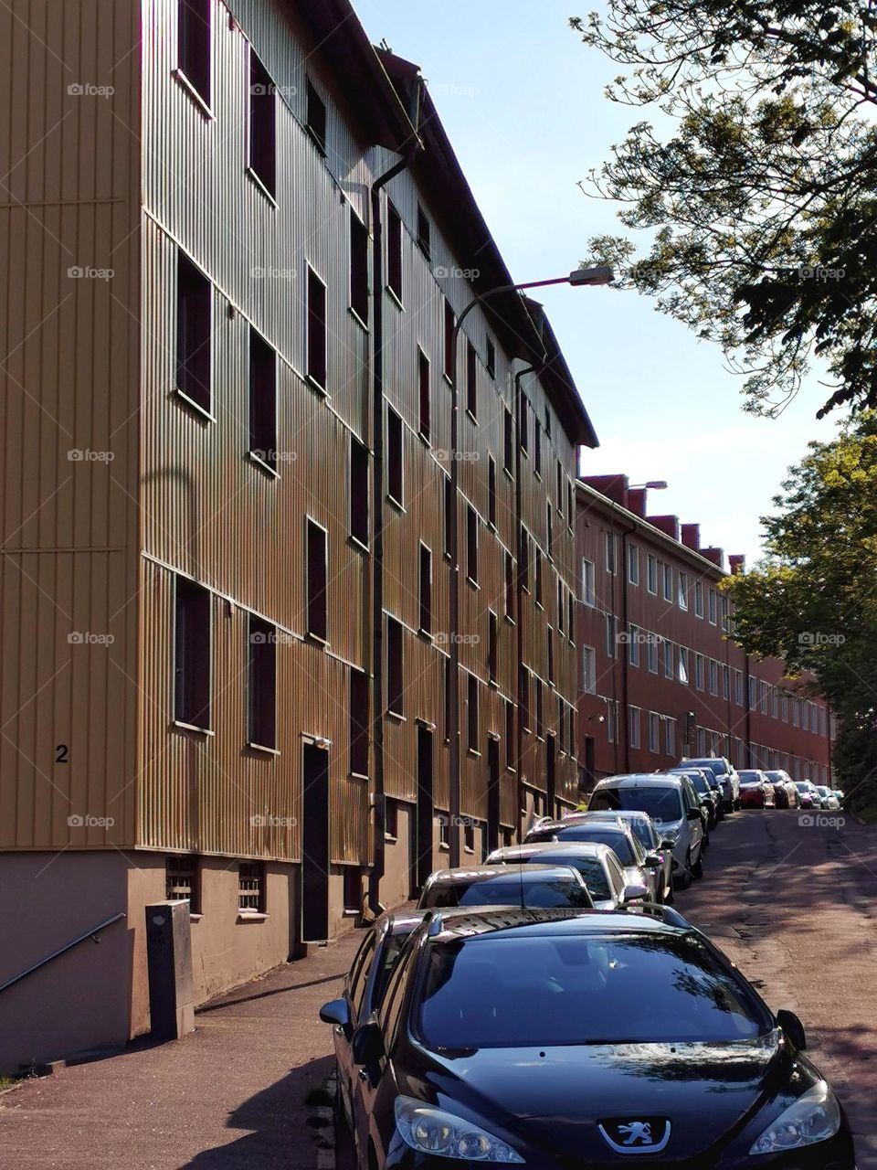 Street with houses and cars