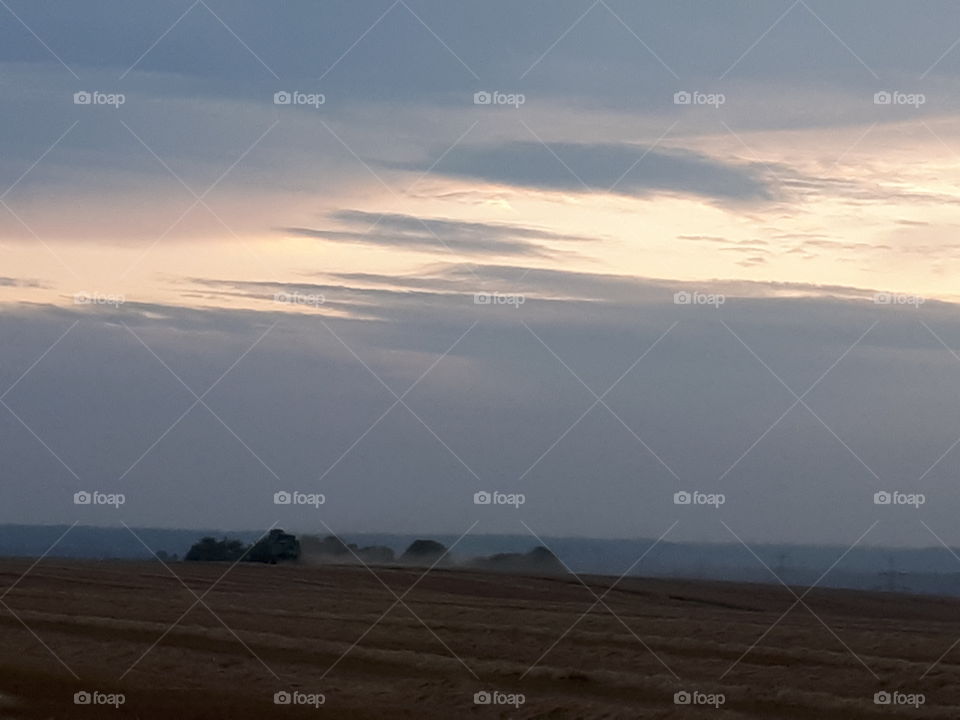 Dusk In The Countryside