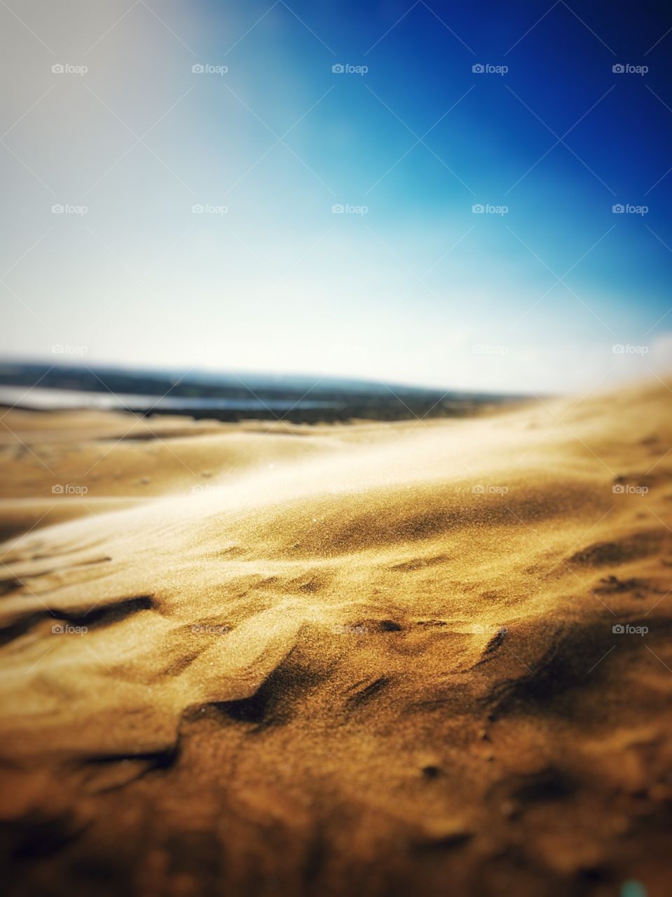 Nature . sand dunes