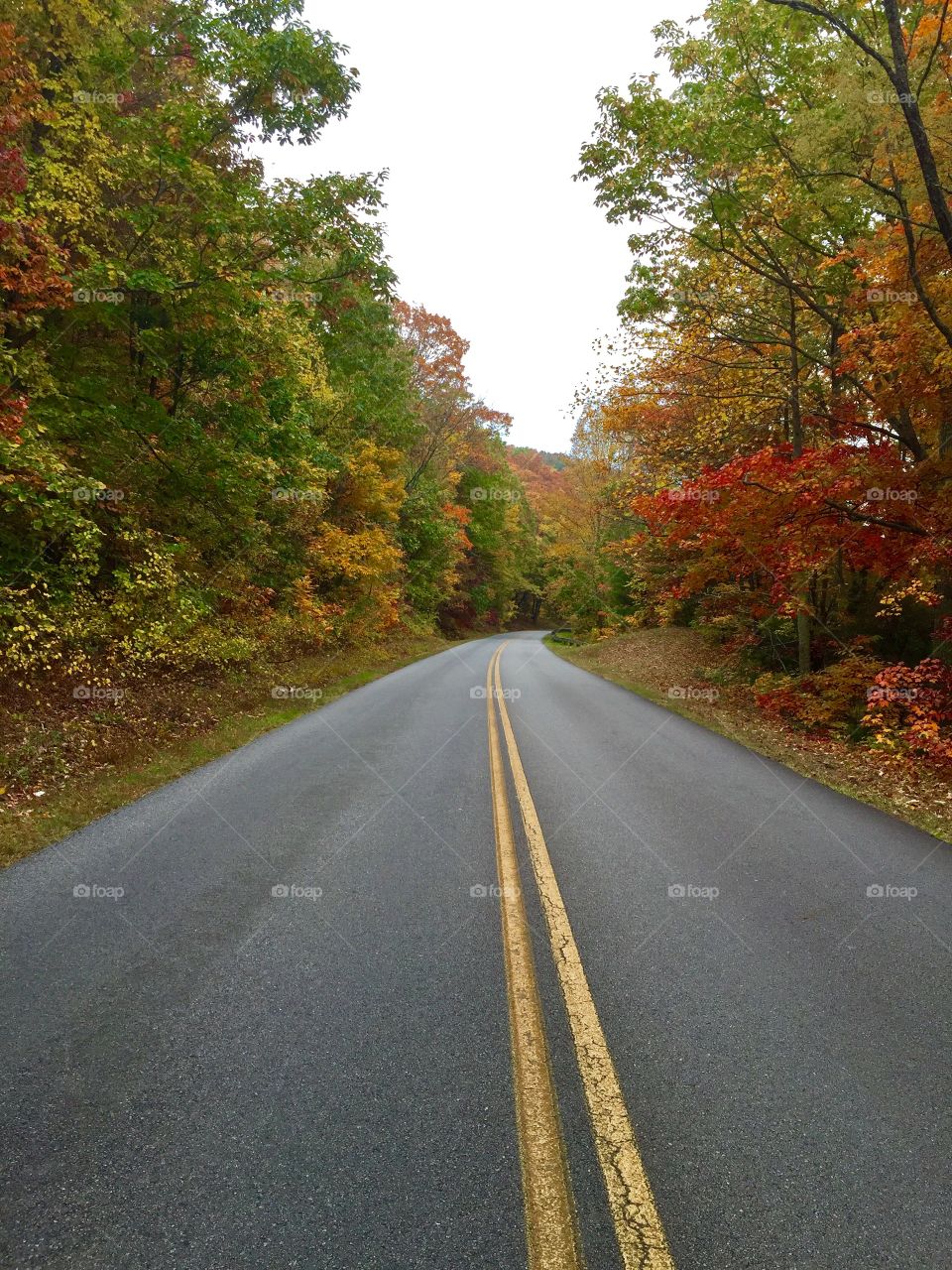 Fall at blue ridge parkway 
