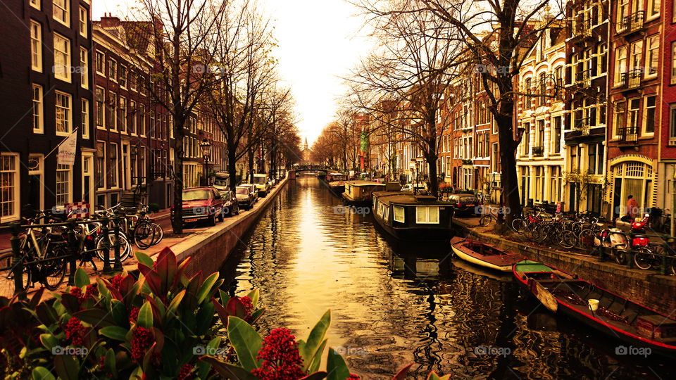 Amsterdam Canal landscape