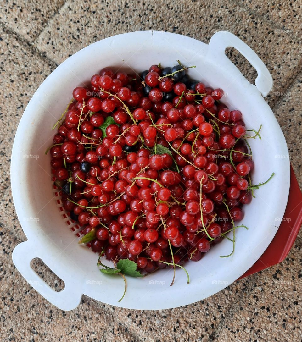 red currant  in white drainer