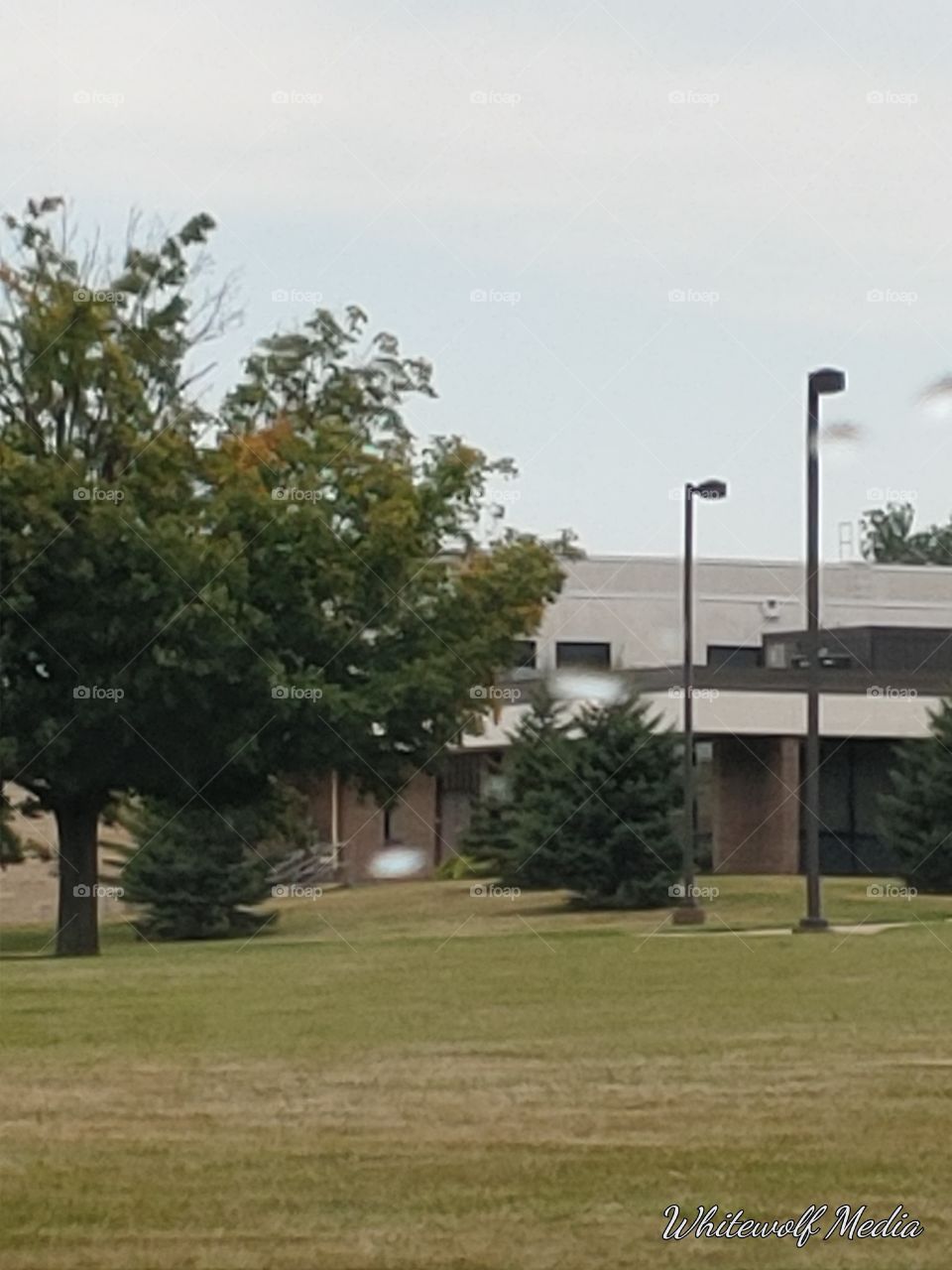 building,lights,school,wind,trees,