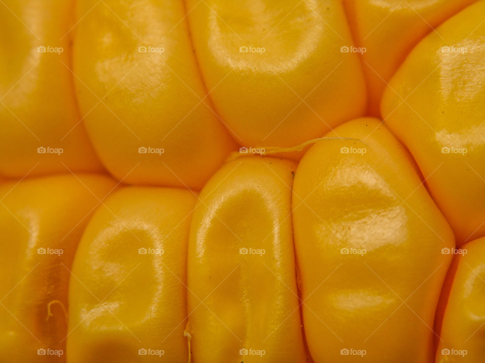 yellow corn close up with lines