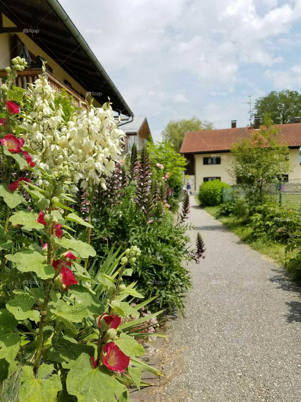 Bavarian Garden Path
