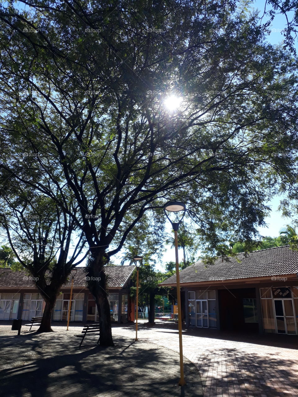 uma tarde em Cafelândia, Paraná Brasil