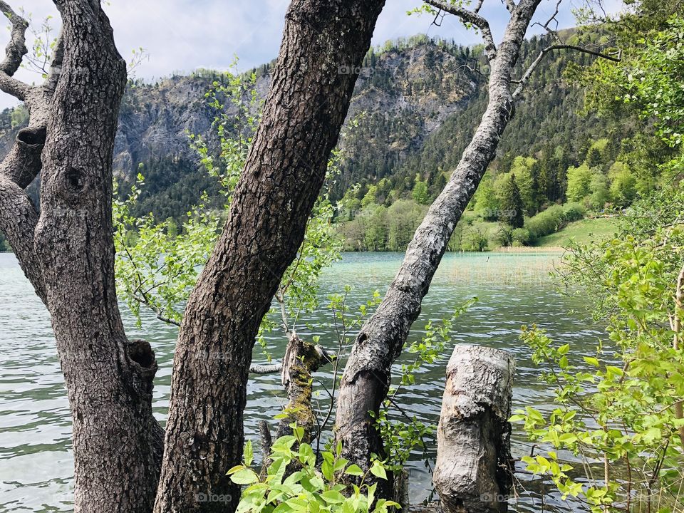 Nature lake Bavaria silence 