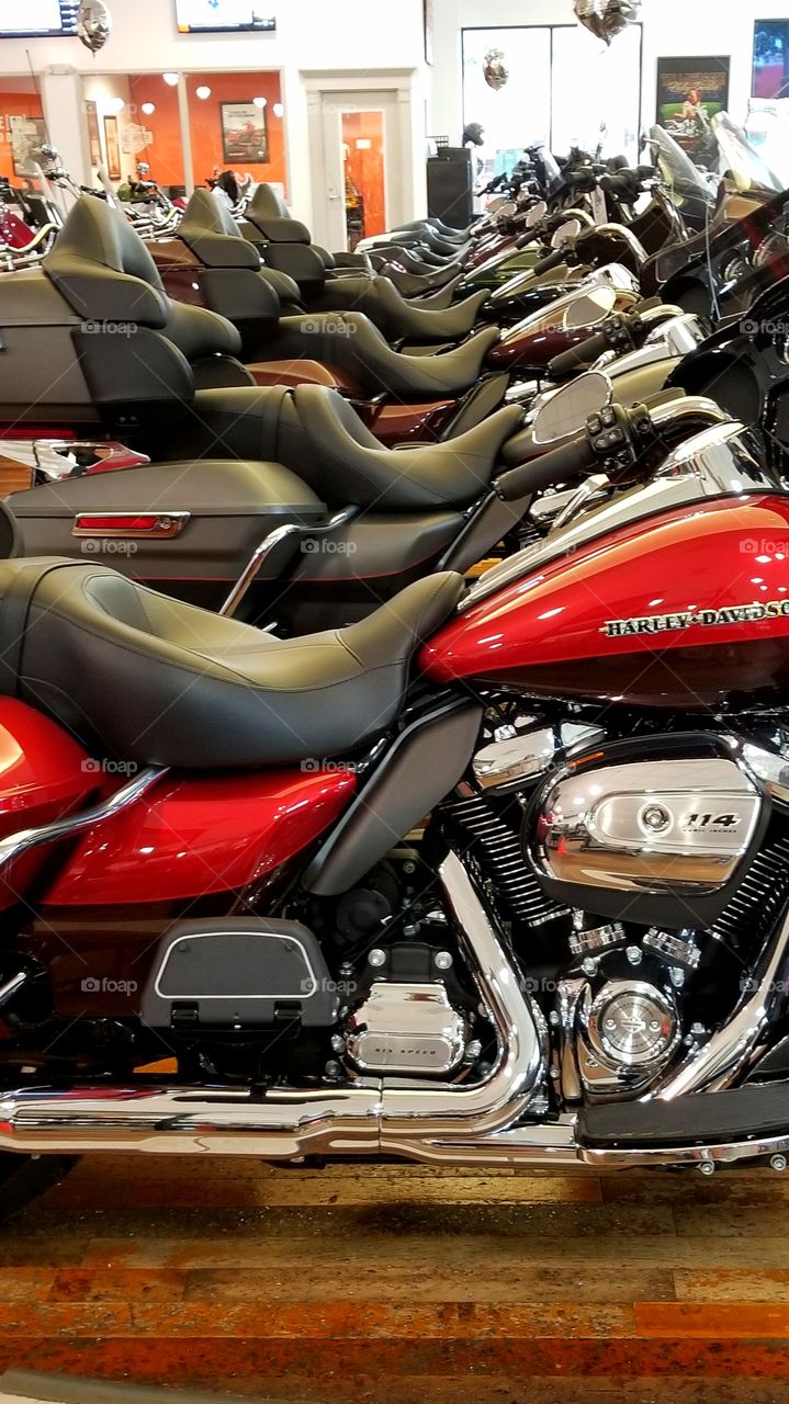 All types of Harley-Davidson bikes, all beautiful machines