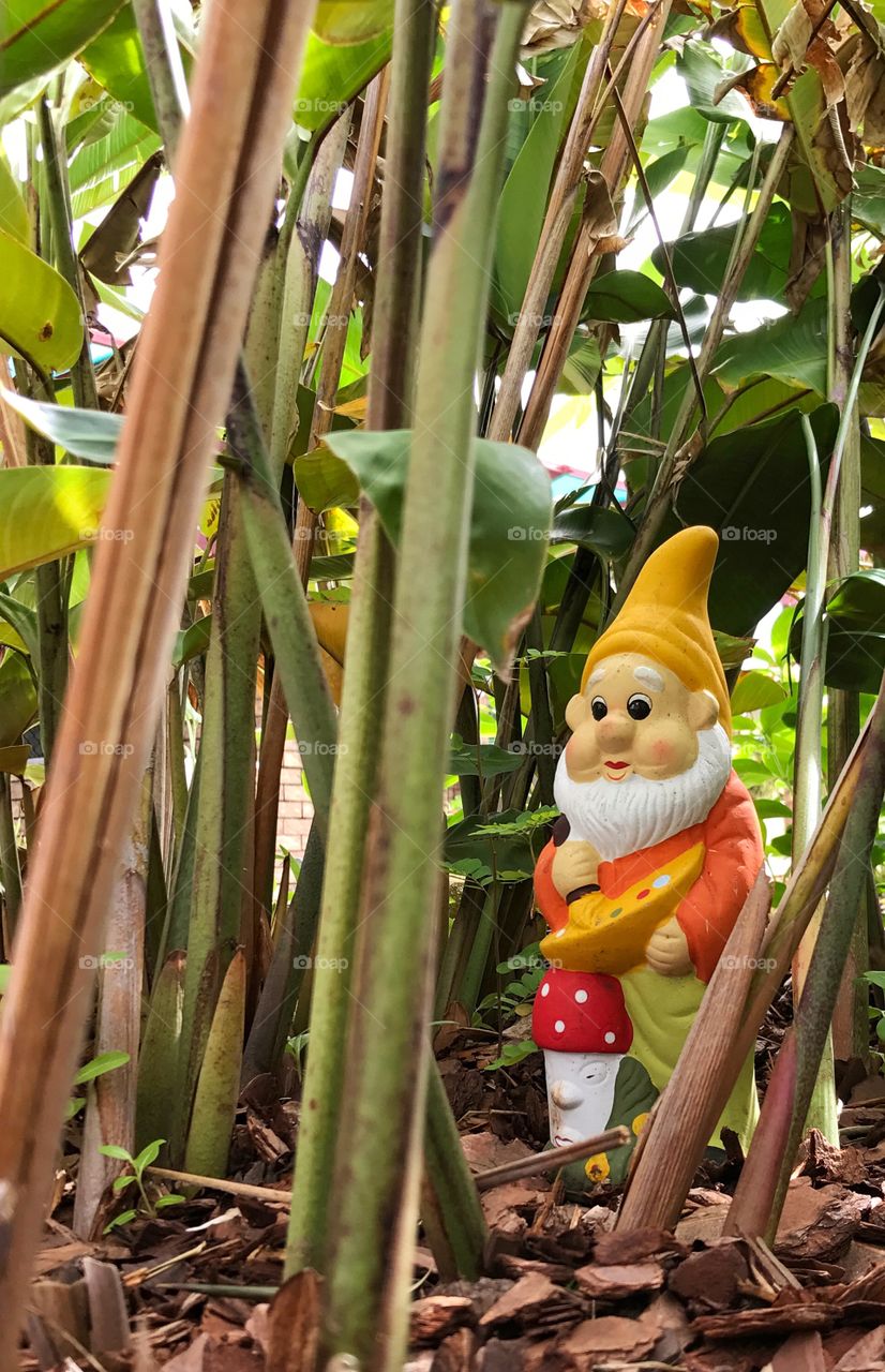 Gnome hiding in the garden