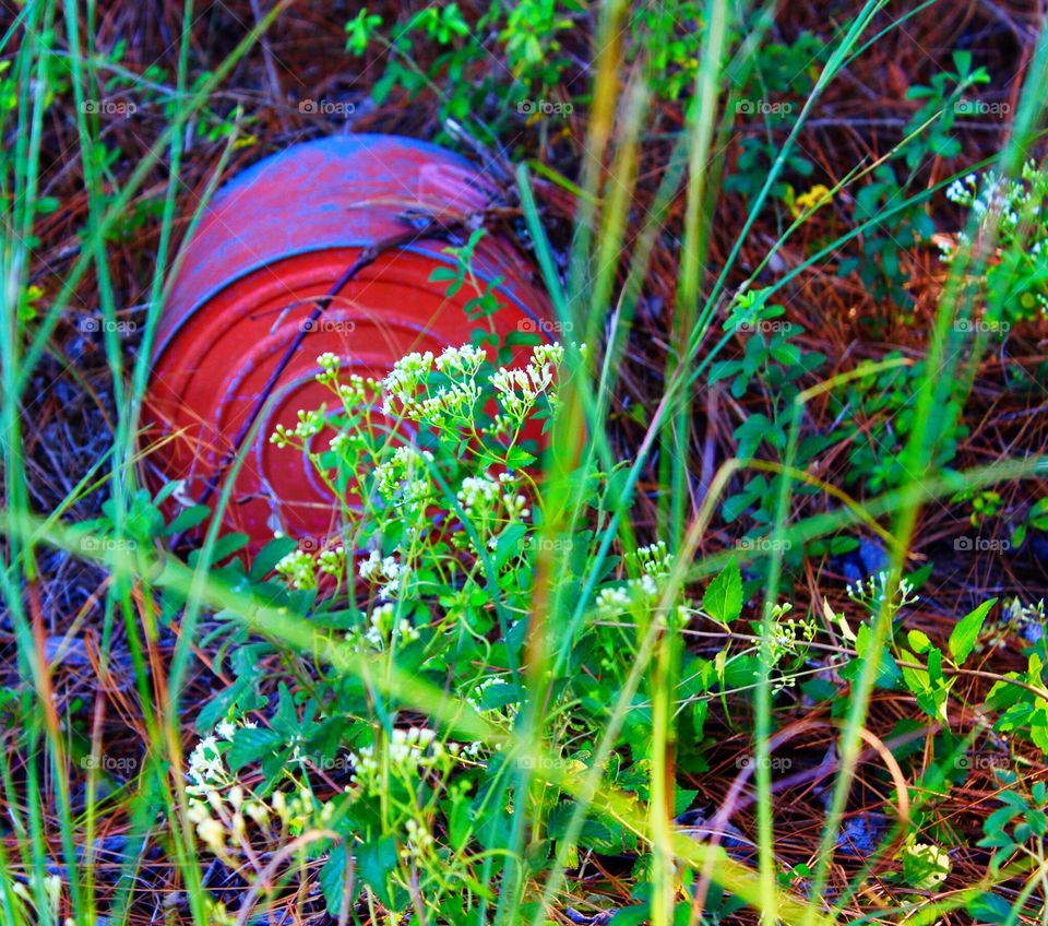 Red tin can in an abondoned lot.