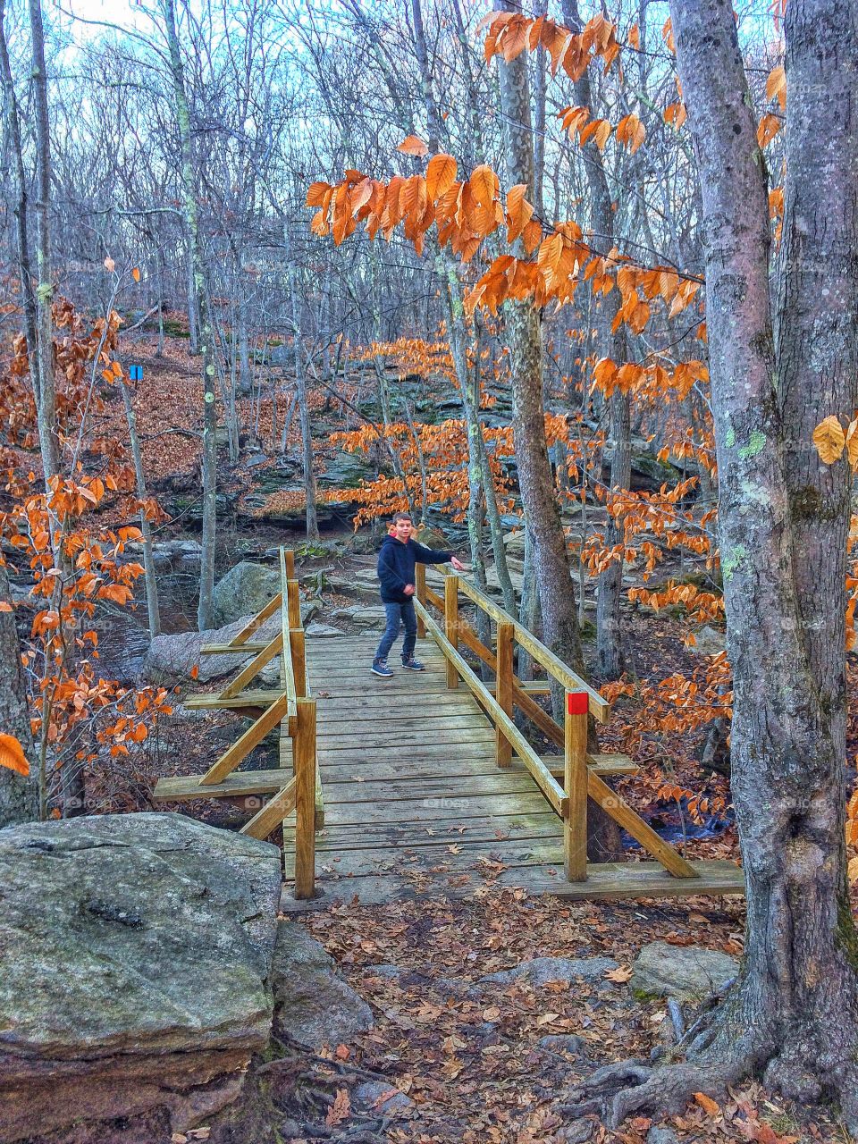 Teenage boy standing on bridge in autumn season