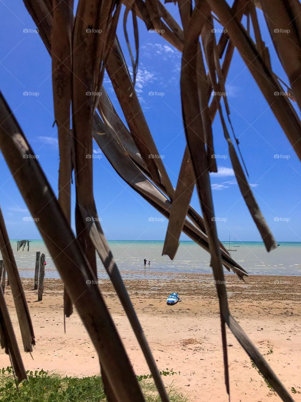 Praia de cumuruxatiba Bahia Brasil 