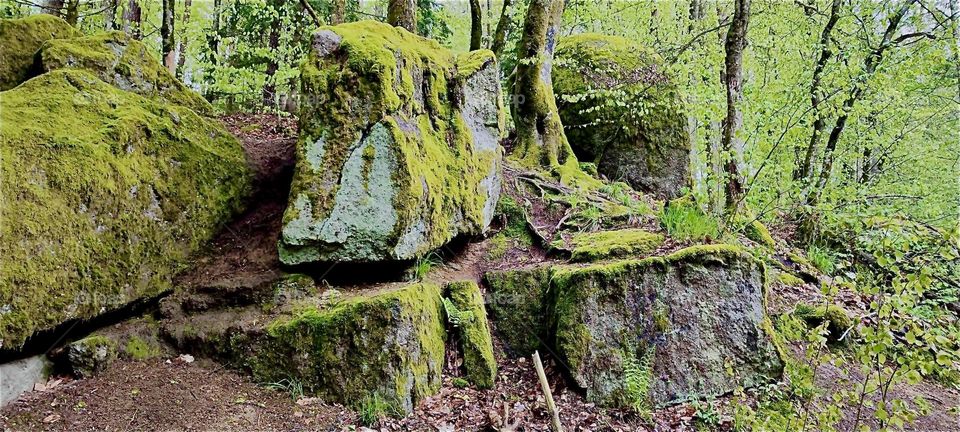 Rocks overgrown with moss can be seen along the way in the „Bayerischer Wald“, the „Bavarian Forest“ near the township of „Eging“ and the „Eging Lake“, the „Eginger See“. 2024. Hypnotic Productions
