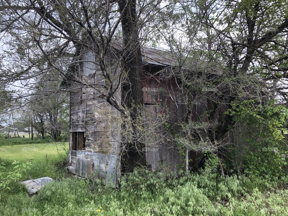 Old abandoned shed