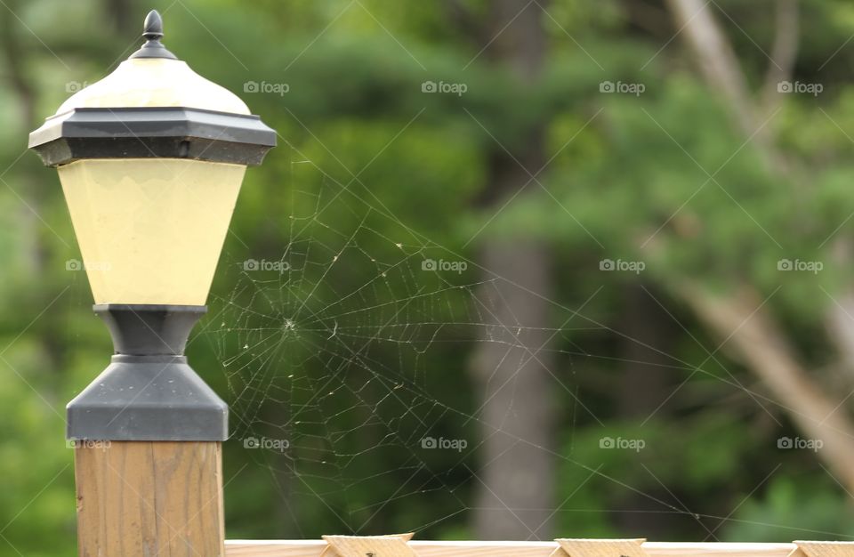 Spider web on porch 