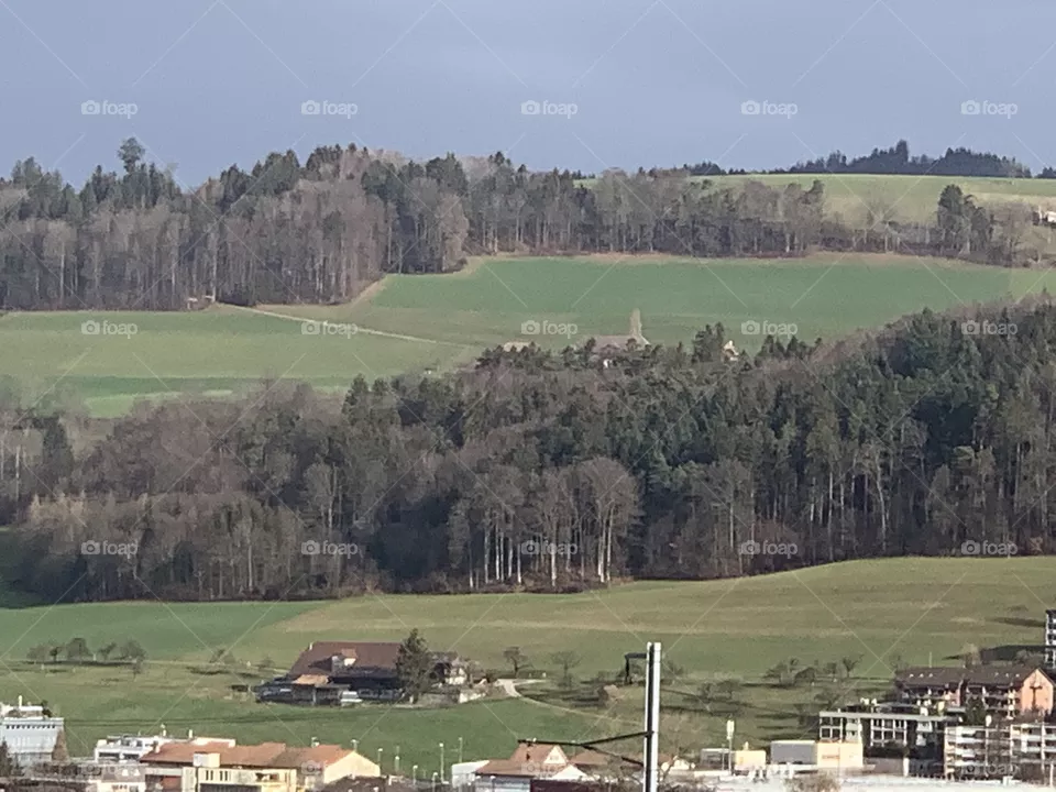 Swiss 