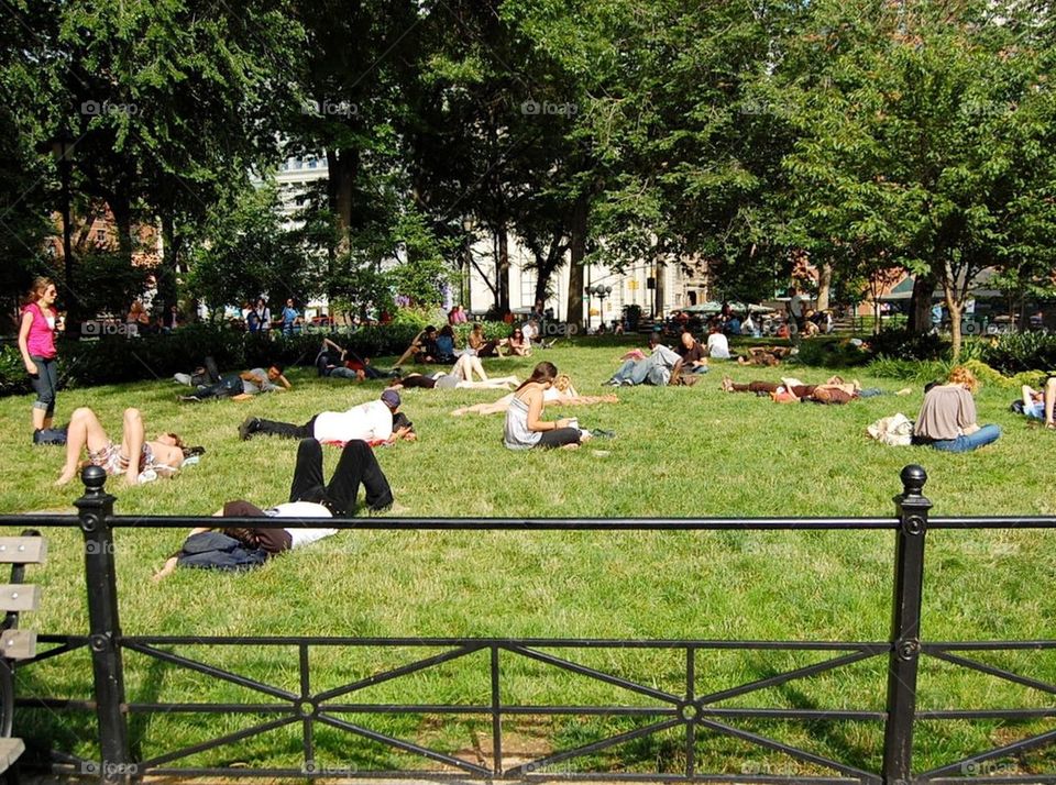 Picnic at the park