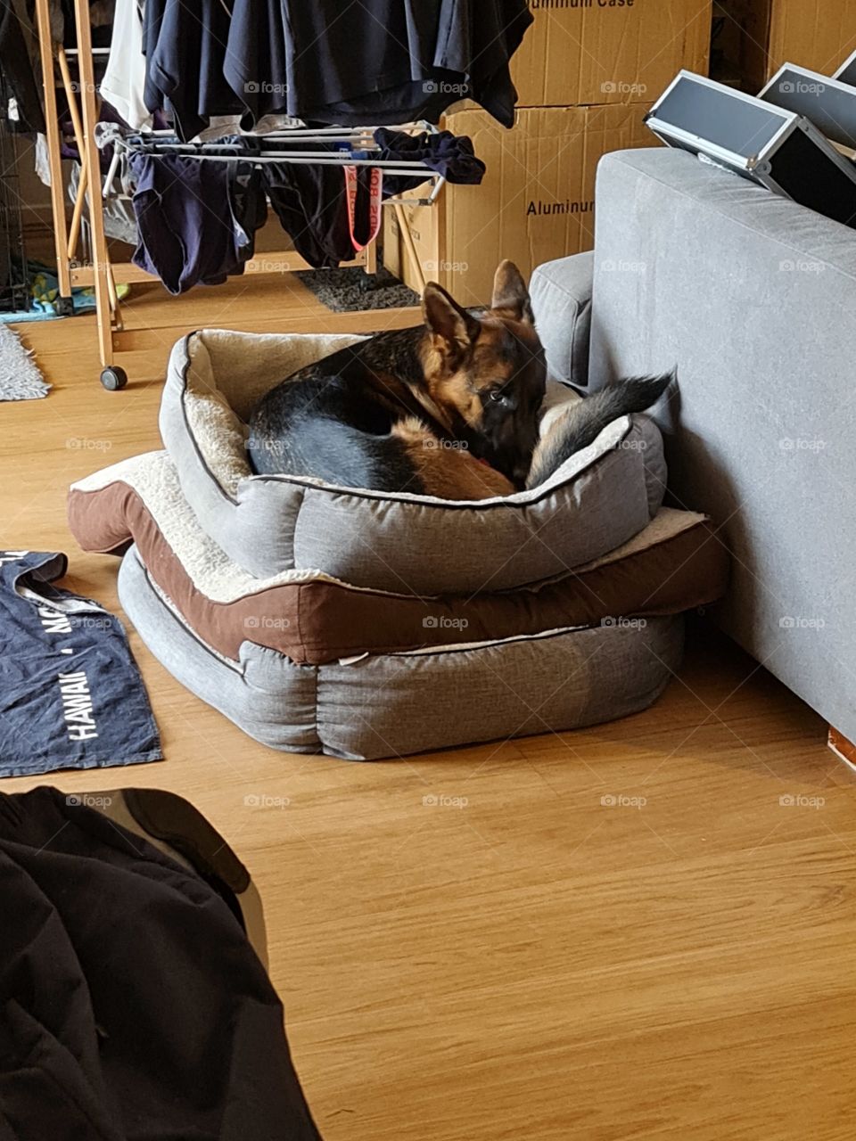 Who needs 1 bed when I can have Three