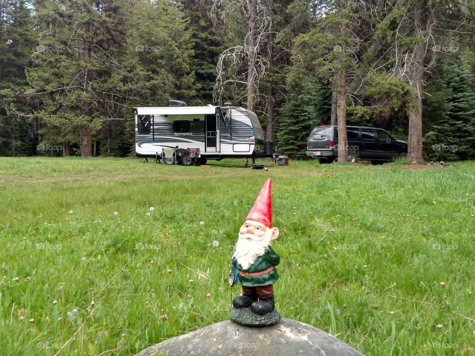 Gnome Camping