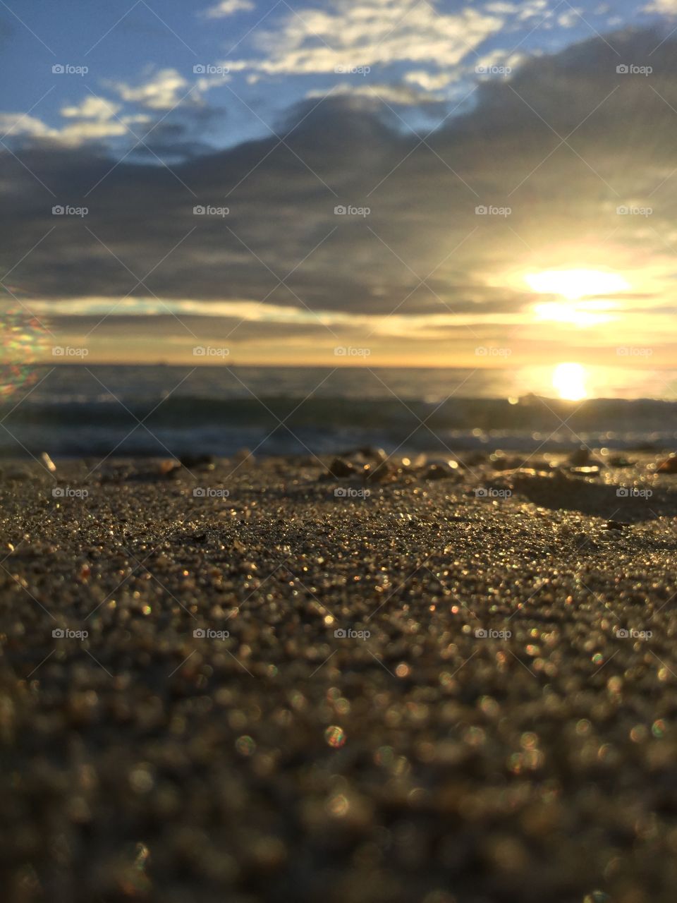 Seashell view on the beach at sunrise 