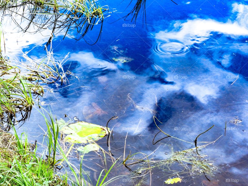 Captured on a hike around Swan Lake Alberta.
