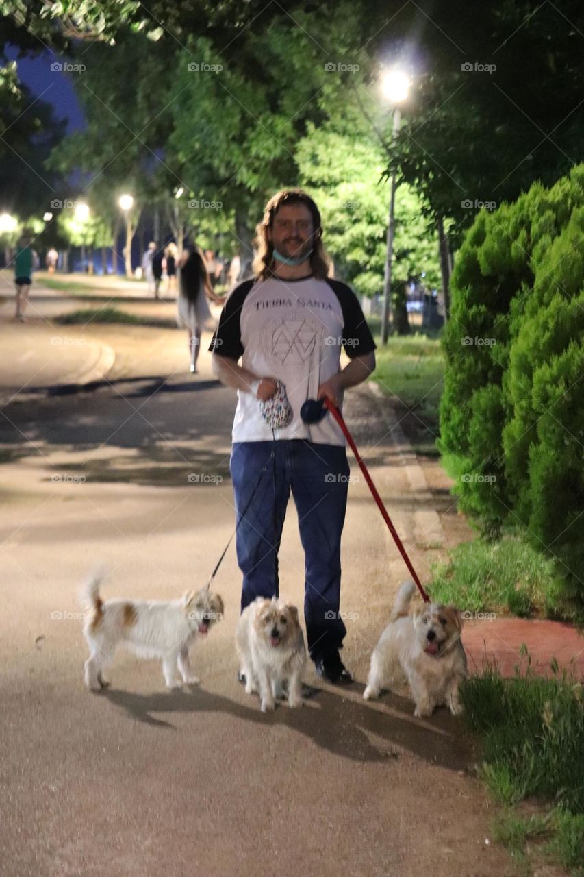 Taking dogs for the walk