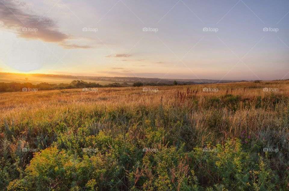 View of field during sunset